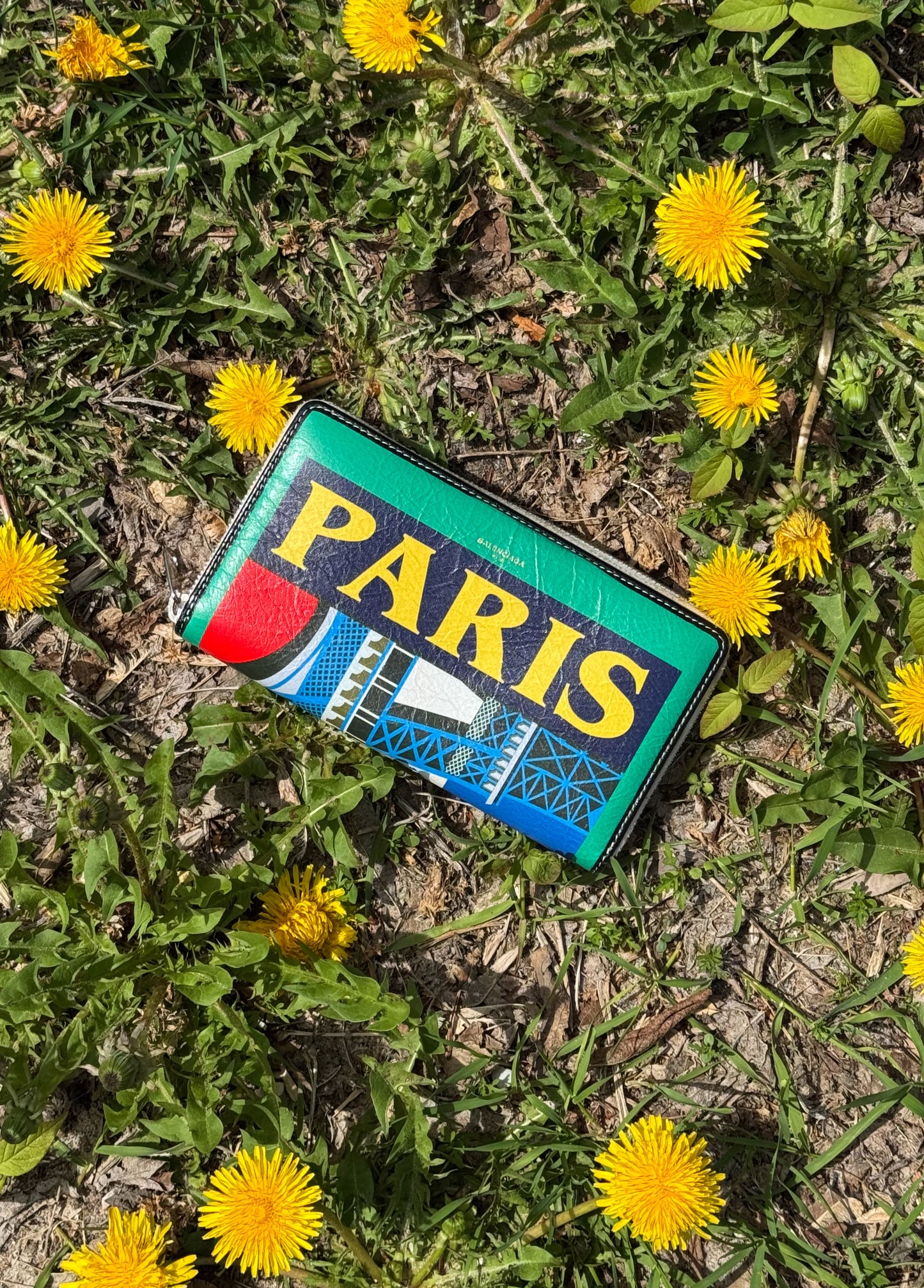 Colourful Balenciaga rectangular wallet with 'PARIS' text