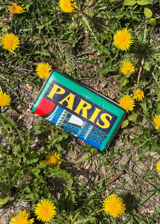 Colourful Balenciaga rectangular wallet with 'PARIS' text
